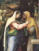 Sebastiano del Piombo The Visitation (mk05) oil painting